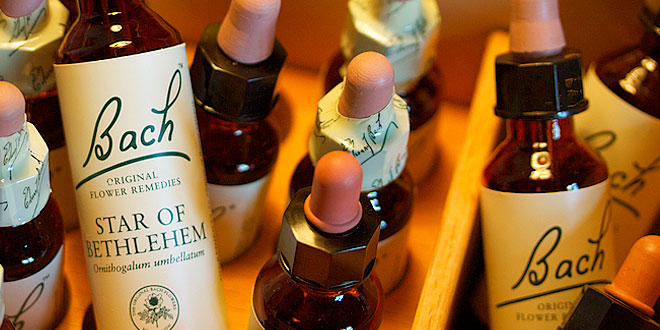 Bachblueten therapie
